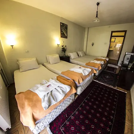 Hotel Paris